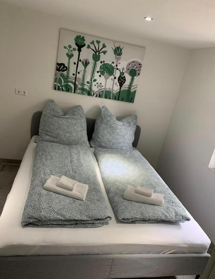Greenhome Loerrach -Ihre Unterkunft Im 3-Laendereck- 객실 사진